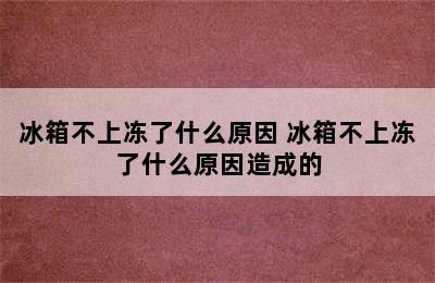 冰箱不上冻了什么原因 冰箱不上冻了什么原因造成的